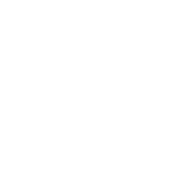 CapCut Pro